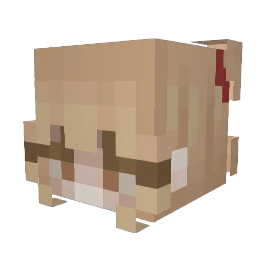 Taiwoon Minecraft avatar head, 3D render