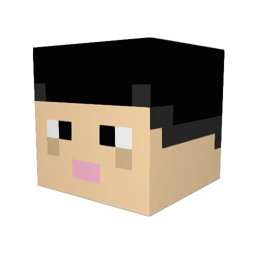Taiyang070850 Minecraft avatar head, 3D render