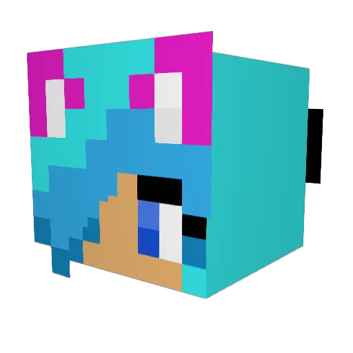 Taiylerb Minecraft avatar head, 3D render