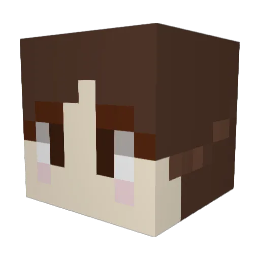 Taizi_Dianxia Minecraft avatar head, 3D render