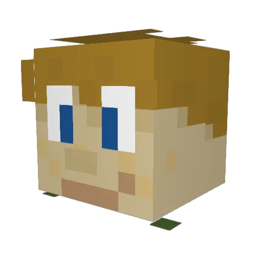 TajIsaiah Minecraft avatar head, 3D render