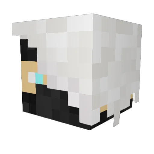 Tajgrovec Minecraft avatar head, 3D render
