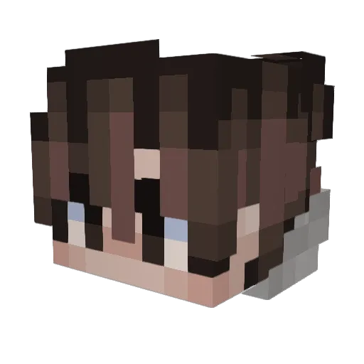 Tajjg Minecraft avatar head, 3D render