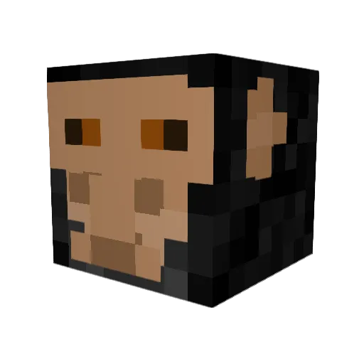 Tajmoniuszek Minecraft avatar head, 3D render