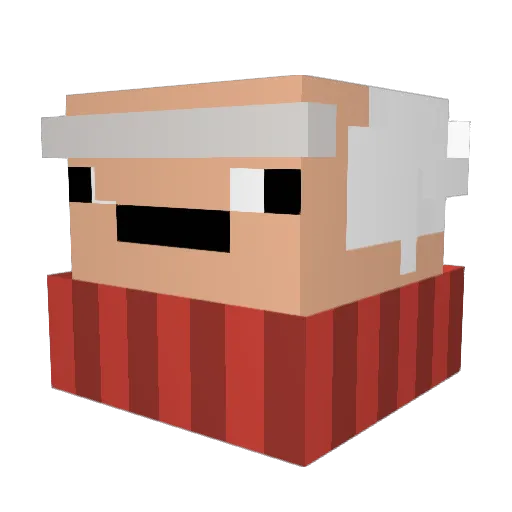 Tajo204 Minecraft avatar head, 3D render