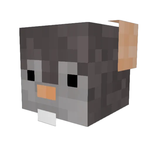 Tajron12 Minecraft avatar head, 3D render