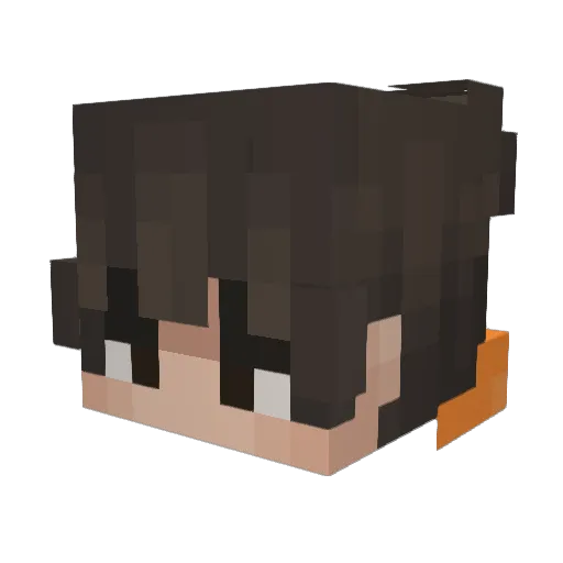 Tak1_is_bad Minecraft avatar head, 3D render