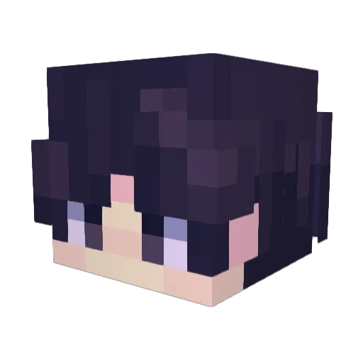 Tak4mi Minecraft avatar head, 3D render