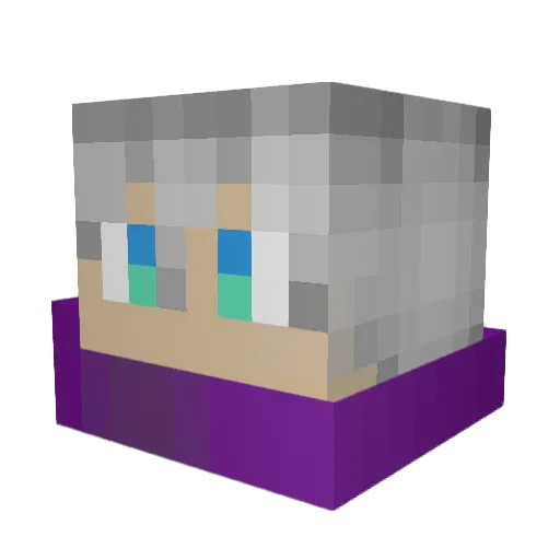 Tak_aN Minecraft avatar head, 3D render