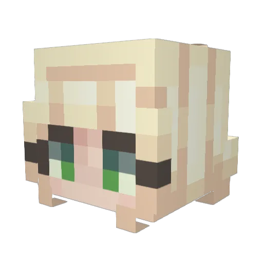TakaBooty Minecraft avatar head, 3D render