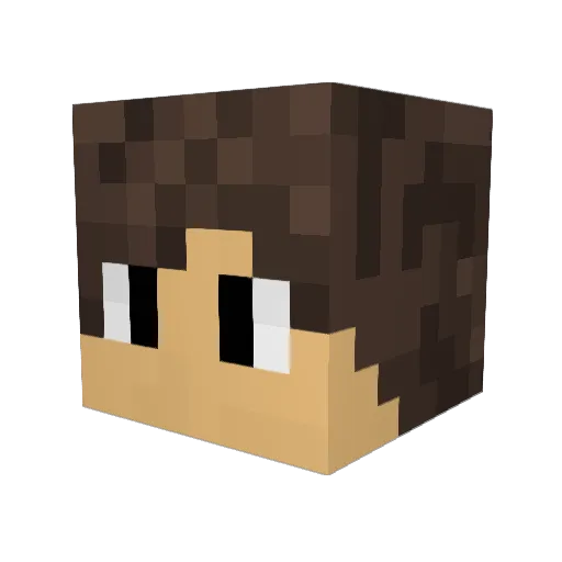 Taka_hashiYT Minecraft avatar head, 3D render