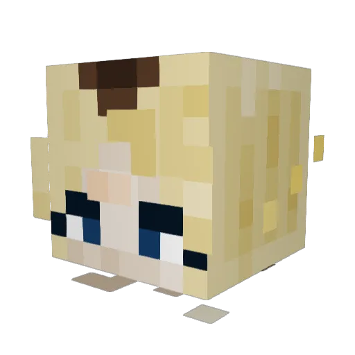 Taka_tv Minecraft avatar head, 3D render