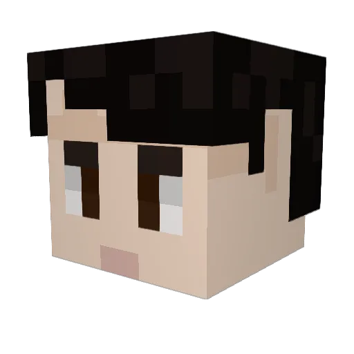 Takadekadaka Minecraft avatar head, 3D render
