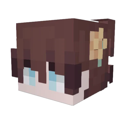 Takanashi_tt Minecraft avatar head, 3D render