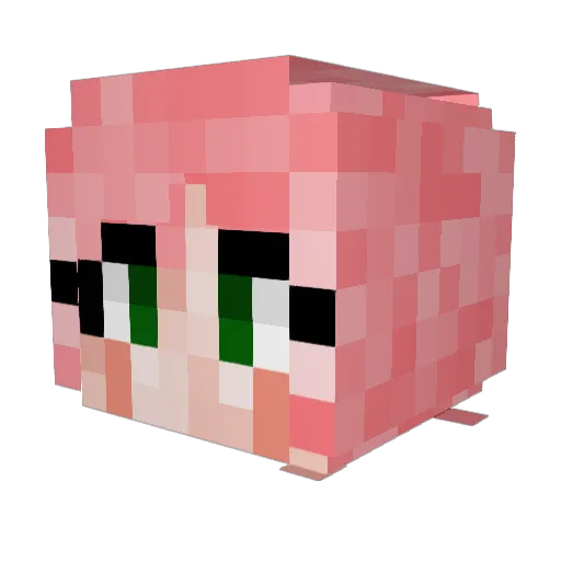 Takanoo Minecraft avatar head, 3D render