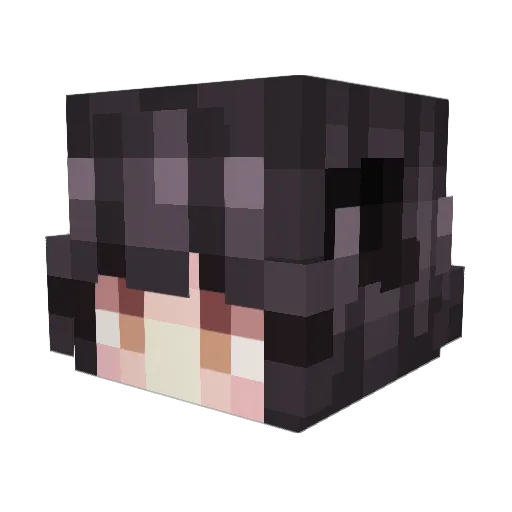 Takao25 Minecraft avatar head, 3D render