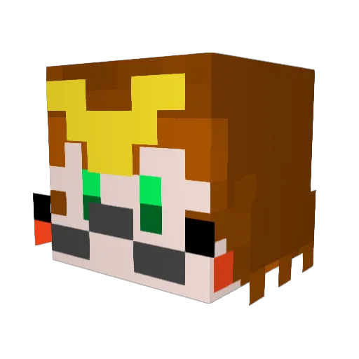 Takashina_tea Minecraft avatar head, 3D render
