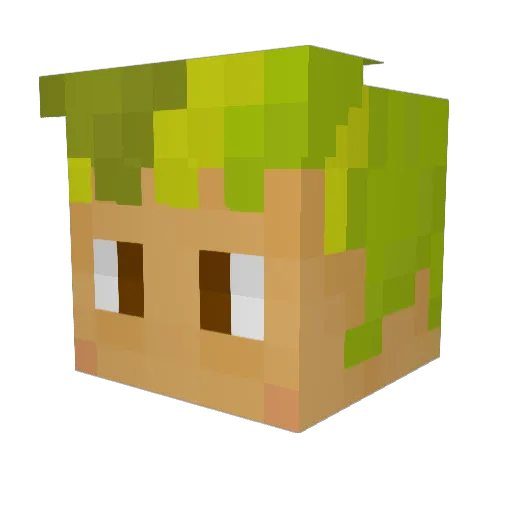 Takashy1 Minecraft avatar head, 3D render
