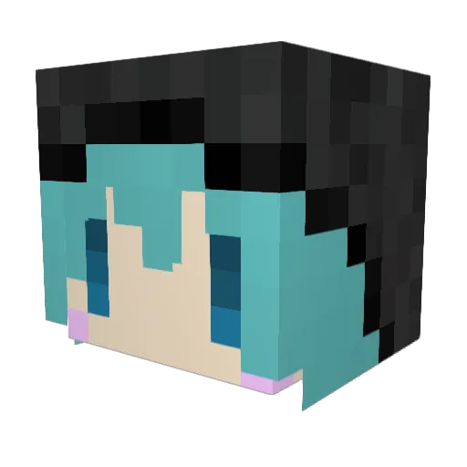 Takataka12 Minecraft avatar head, 3D render