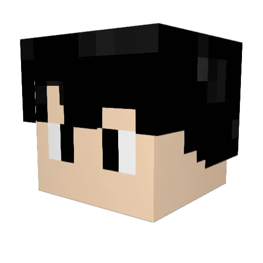 Take10086 Minecraft avatar head, 3D render