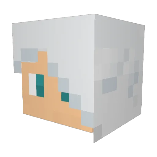 TakeDown2694 Minecraft avatar head, 3D render