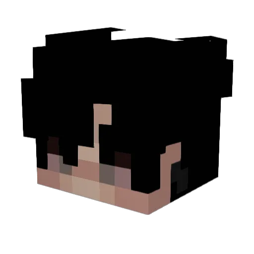 TakeHoo Minecraft avatar head, 3D render