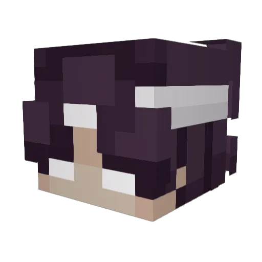 TakeNine Minecraft avatar head, 3D render