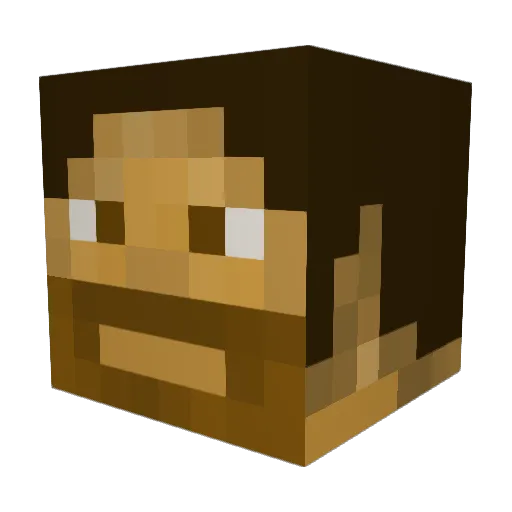 TakeNotesFlorida Minecraft avatar head, 3D render