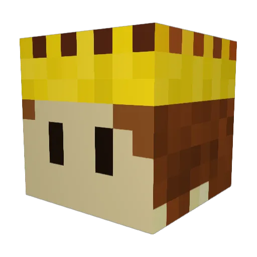 Takefuso Minecraft avatar head, 3D render