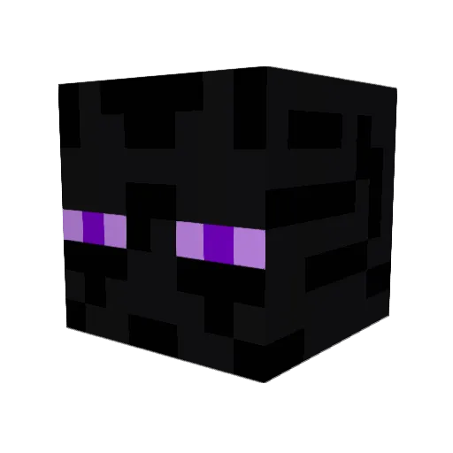 TakenAnomaly Minecraft avatar head, 3D render