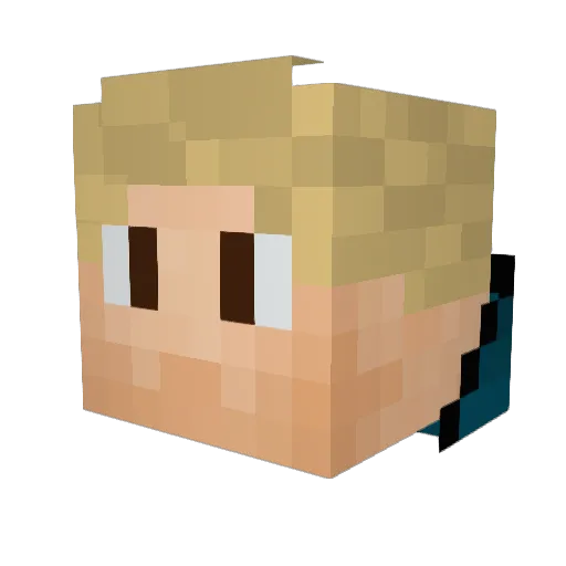 TakenLight Minecraft avatar head, 3D render