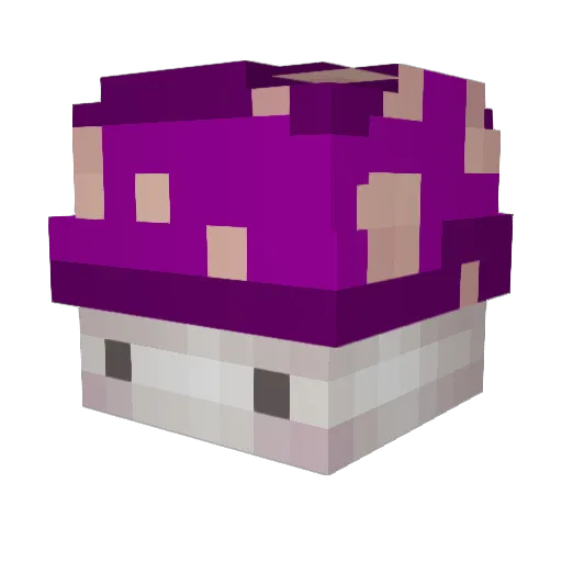 TakenSlayer8 Minecraft avatar head, 3D render