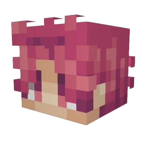 Takenbark Minecraft avatar head, 3D render