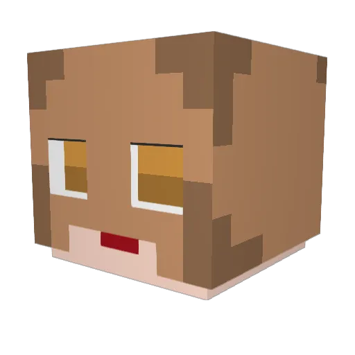 Takenoko0920 Minecraft avatar head, 3D render
