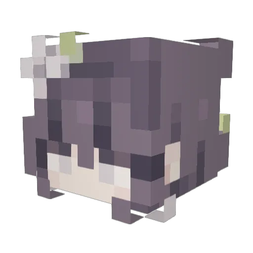 TakenwasLuis Minecraft avatar head, 3D render