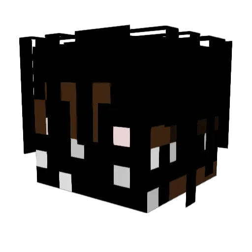 TakerYaMaker Minecraft avatar head, 3D render