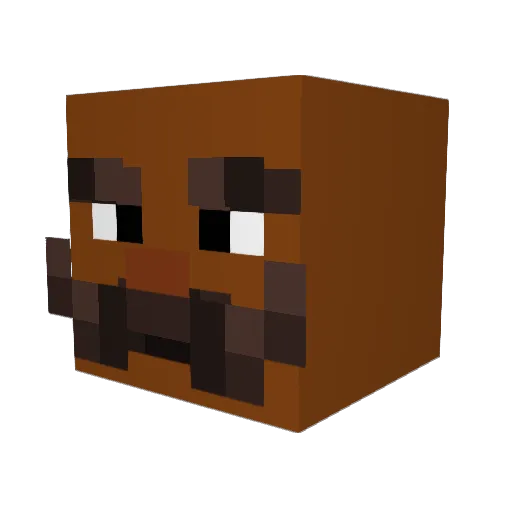 Takesh0s Minecraft avatar head, 3D render