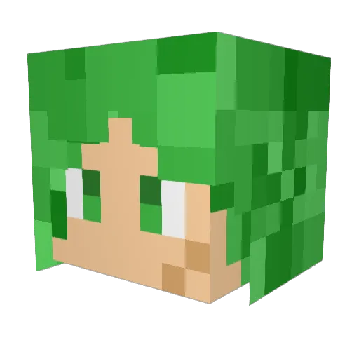 Takeshi6213 Minecraft avatar head, 3D render