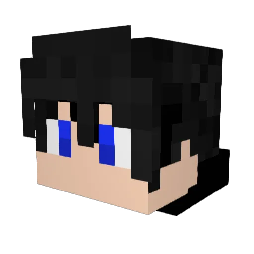 TakeshiGames Minecraft avatar head, 3D render