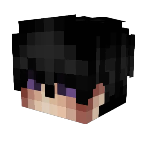 TakeshiLord Minecraft avatar head, 3D render