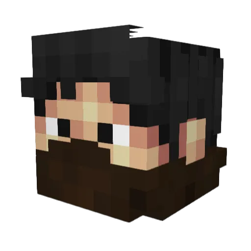 Takeshi_Ka Minecraft avatar head, 3D render