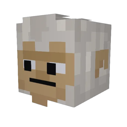Takethe_L10 Minecraft avatar head, 3D render