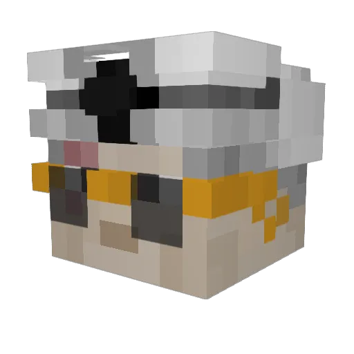 Taki4i Minecraft avatar head, 3D render