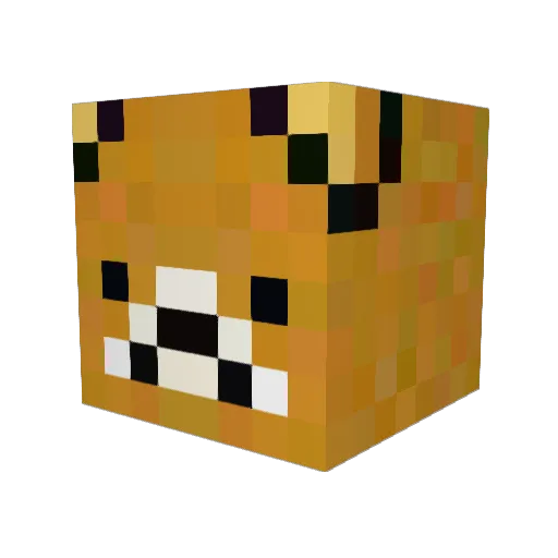 Takibitz Minecraft avatar head, 3D render