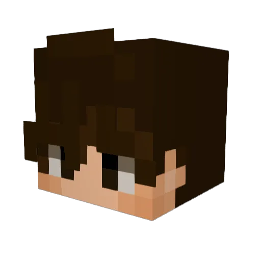 Takifuu Minecraft avatar head, 3D render