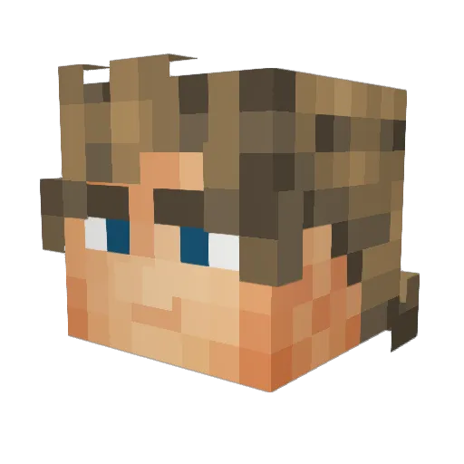 Takis12345 Minecraft avatar head, 3D render
