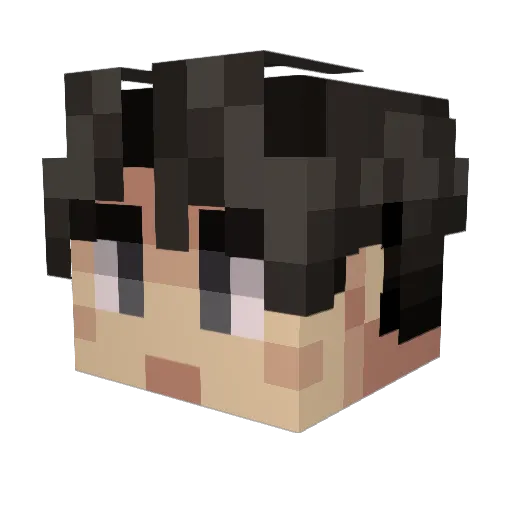 Takk0r0 Minecraft avatar head, 3D render