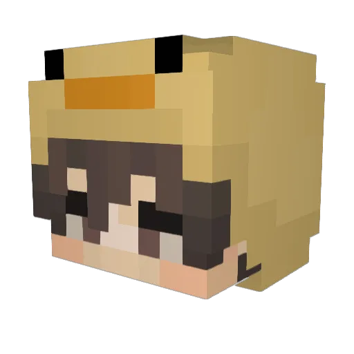 Tako9017 Minecraft avatar head, 3D render