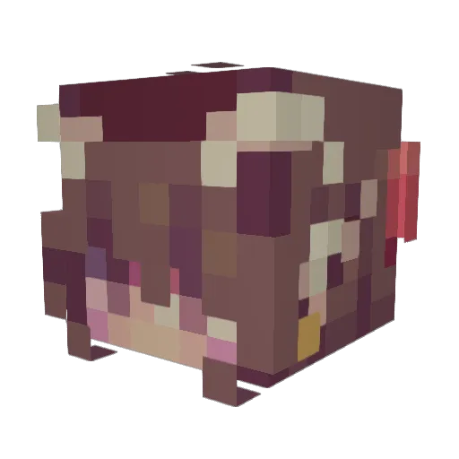 TakoArishi Minecraft avatar head, 3D render