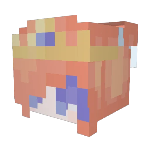 TakoBallz Minecraft avatar head, 3D render